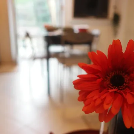 Il Nido Di Mariro Apartment