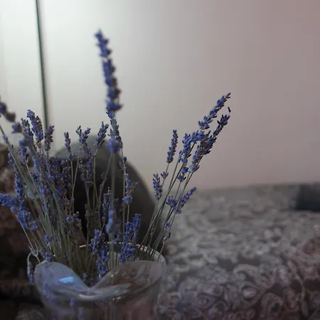 Apartment Il Nido Di Mariro