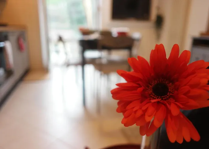 Il Nido Di Mariro Apartman